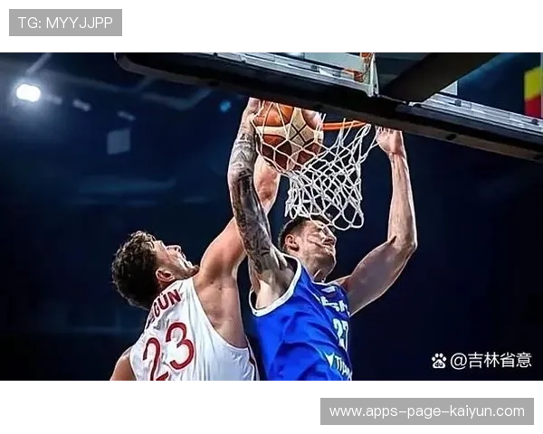 火箭申京低位背打命中关键2分